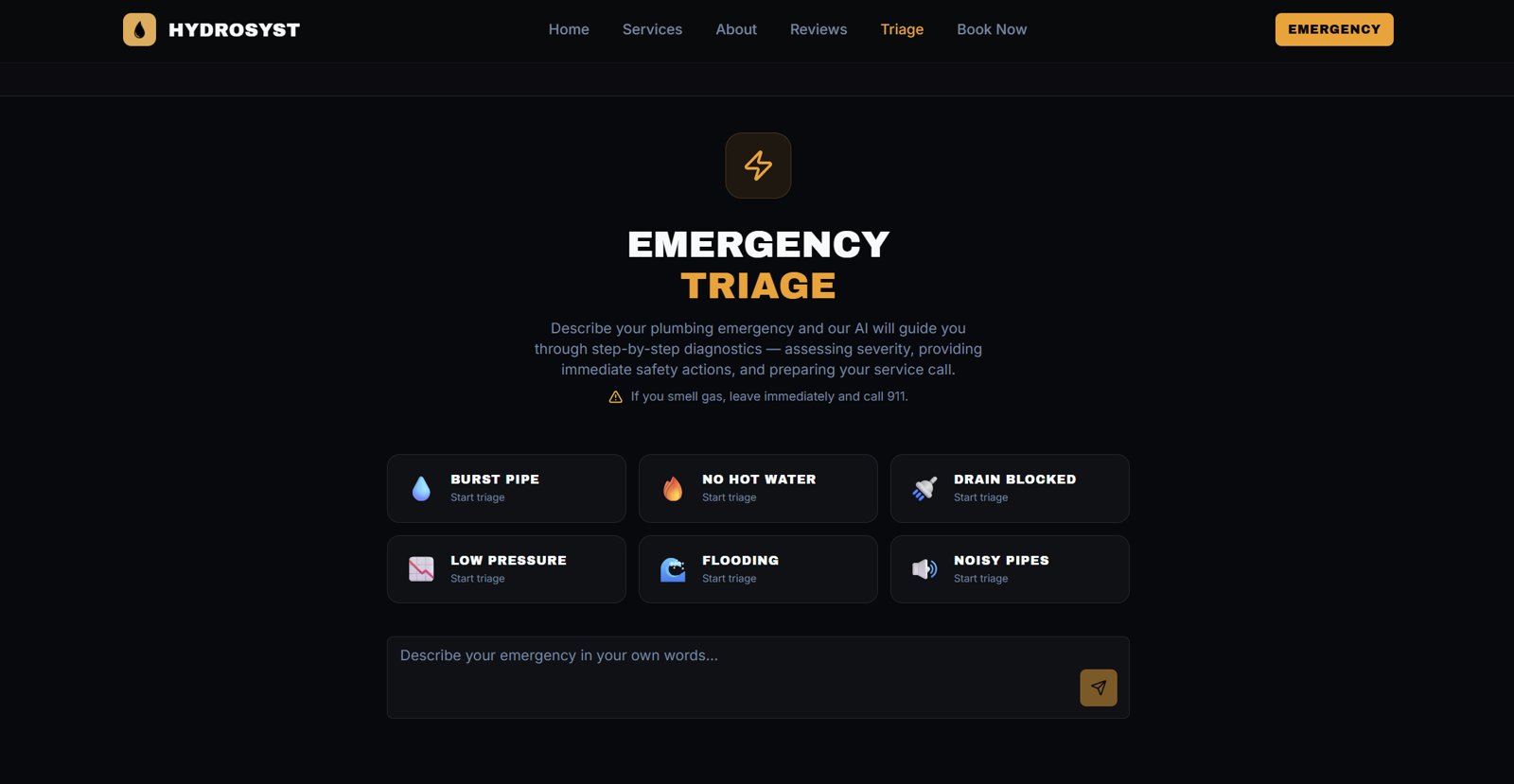 Hydrosyst emergency triage page with issue categories and a text input